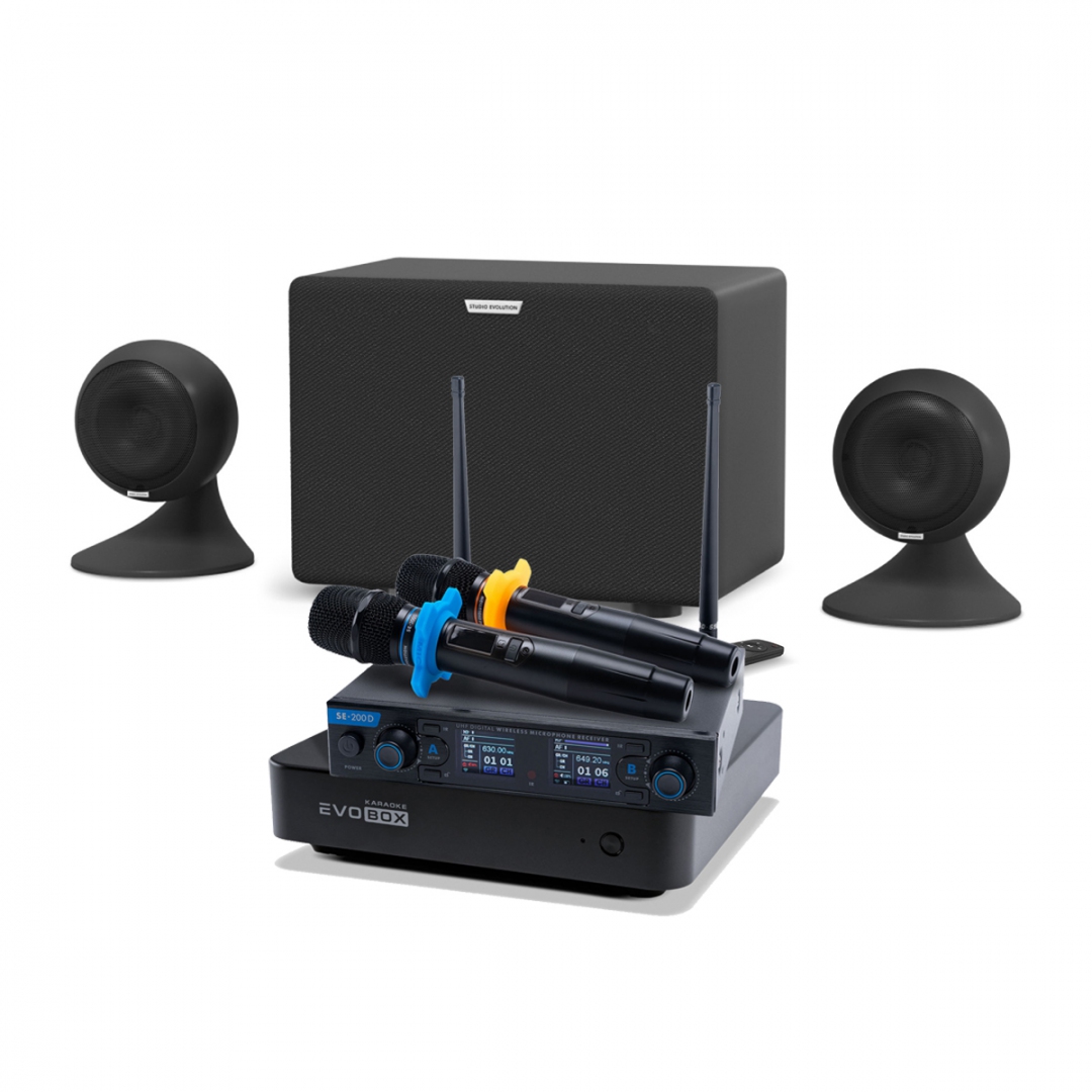 караоке-комплект EVOBOX + EvoSound Sphere 2.1 в Казани