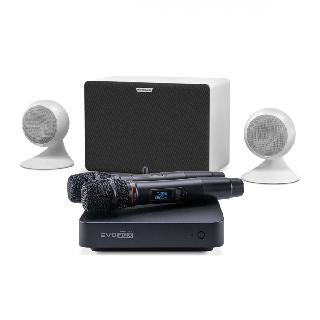 караоке-комплект EVOBOX Classic + EvoSound Sphere 2.1 в Казани