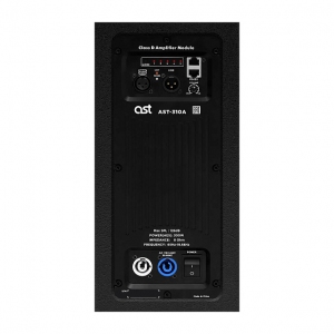 Активная акустическая система AST-310A в Казани