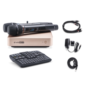 EVOBOX Classic караоке-система для дома в Казани